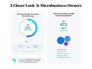 A Closer Look at Microbusiness Owners